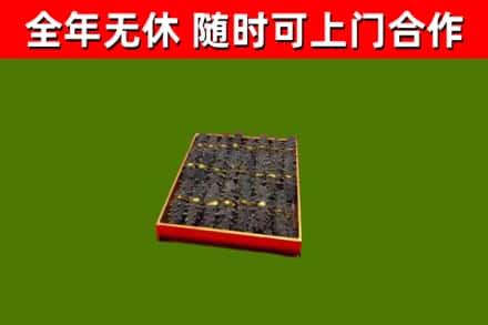 温州回收海参